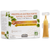 Propolis EXTRA-FORTE Peuplier sans alcool BIO