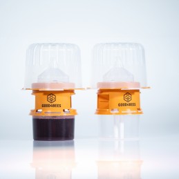 Piège Good-4Bees V1